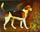 George Stubbs Canvas Paintings - A Foxhound,Ringwod